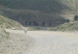 Ruta Provincial nro. 13